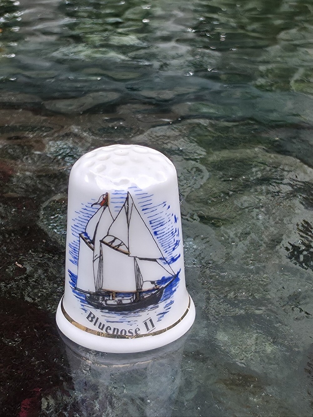 Birchcroft Fine Bone China Bluenose Thimble